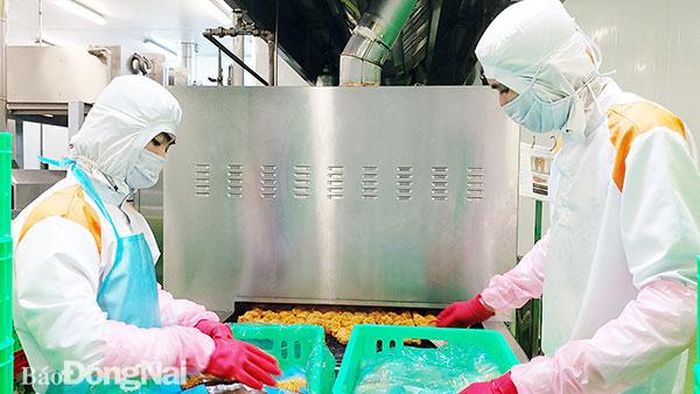 Đồng Nai là tỉnh đầu tiên của cả nước có Công ty TNHH Koyu &amp; Unitek ở Khu công nghiệp Loteco (TP.Biên Hòa) xuất khẩu thịt gà vào Nhật Bản. Ảnh: H.Giang
