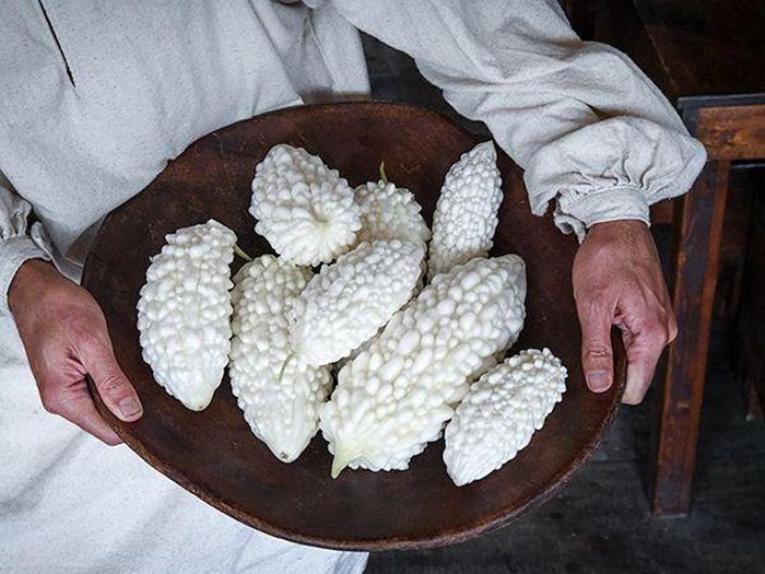  Giàu vitamin và khoáng chất, mướp đắng trắng còn được dùng như một loại thực phẩm hỗ trợ nhiều loại bệnh, trong đó có tiểu đường type 2. Chúng chứa hợp chất giống insulin có khả năng hạ mức đường huyết. Ảnh: Rareseeds. 
