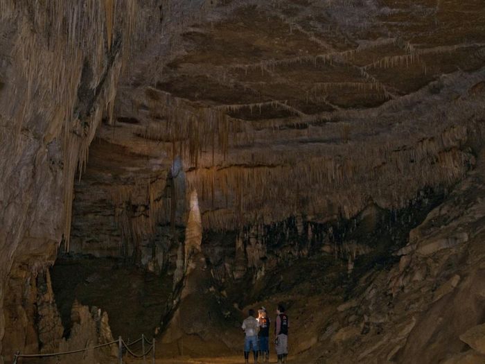  Theo nhiều tài liệu, người Chachapoya có nguồn gốc từ Inca hoặc Tây Ban Nha. Lượng thông tin về bộ tộc bí ẩn này rất ít. Họ chỉ được biết đến với cái tên Chachapoya do người Inca sử dụng và biệt danh "chiến binh đám mây" nhấn mạnh tính cách thiện chiến. Ngay cả sau khi bị chinh phục, các nhóm người Chachapoya vẫn nổi dậy đấu tranh trong nhiều năm. 