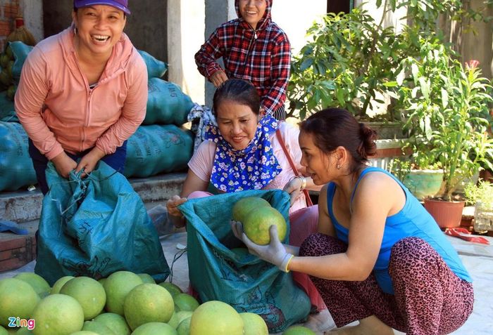 Tuy bị ảnh hưởng do dịch Covid-19 nhưng không khí mua bán thanh trà vẫn rất nhộn nhịp. Nhiều người dân khu vực thành thị đổ xô về các vựa thanh trà ở Thủy Biều để mua về ăn, làm quà tặng.