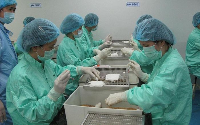 Thí nghiệm vắc-xin trên động vật tại Công ty TNHH MTV Vắc-xin và Sinh phẩm số 1 (Vabiotech). Ảnh: Thiên Lam
