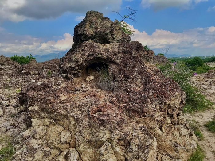 Nếu đặt chân đến vùng đất Ninh Thuận, du khách đừng nên bỏ lỡ cơ hội khám phá bãi san hô có một không hai này. (Ảnh: Duy Quan).