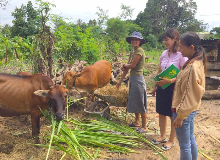Không chỉ đáp ứng nhu cầu vốn kịp thời, Ngân hàng CSXH tỉnh còn hướng dẫn hộ vay cách thức sử dụng vốn hiệu quả. Ảnh: Sơn Ca 