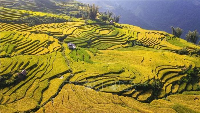 Thung lũng ruộng bậc thang ở A Lù, cũng là nơi không thể bỏ qua khi đi ngắm lúa trên Y Tý.