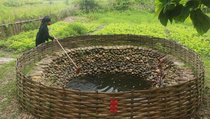 Múc nước bằng gáo tre ngà ở giếng làng. 