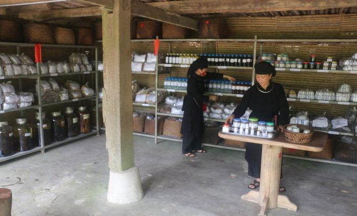 Gian dưới nhà bảo tồn thuốc nam. 