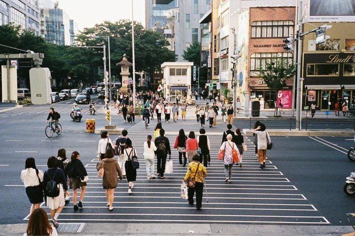 Biến mất để bắt đầu một cuộc sống mới, song cảm giác tiếc nuối, tội lỗi vẫn đi theo các jouhatsu trong một thời gian dài. Ảnh: Kofler.