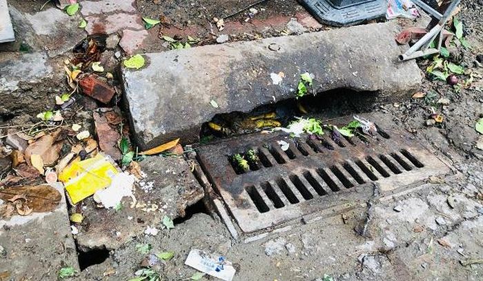  Rác tràn lan trên miệng cống ở phố Bạch Mai (Ảnh: Hà Ánh)
