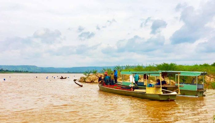 Cảnh thu mua cá trên mặt hồ diễn ra khoảng 8 giờ sáng hàng ngày. Tận mắt xem người dân đánh bắt cá, tham quan làng chài và mua các loại cá đặc sản trên lòng hồ này như cá thác lác, rô, mè dinh, trắm, chép… là điều hấp dẫn du khách mỗi khi đến Ayun Hạ.