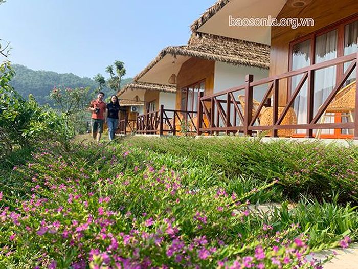 Đến Mộc Châu Eco Garden - du khách hòa mình vào không gian thiên nhiên, ngập tràn sắc hoa.