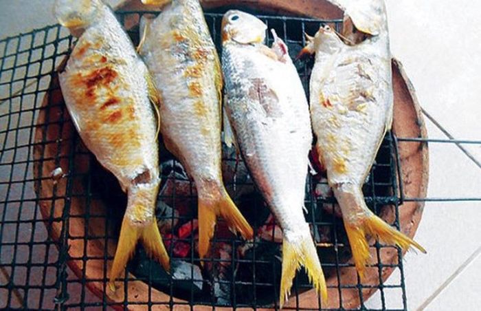 Cá cháy là đặc sản quý hiếm của Vĩnh Long