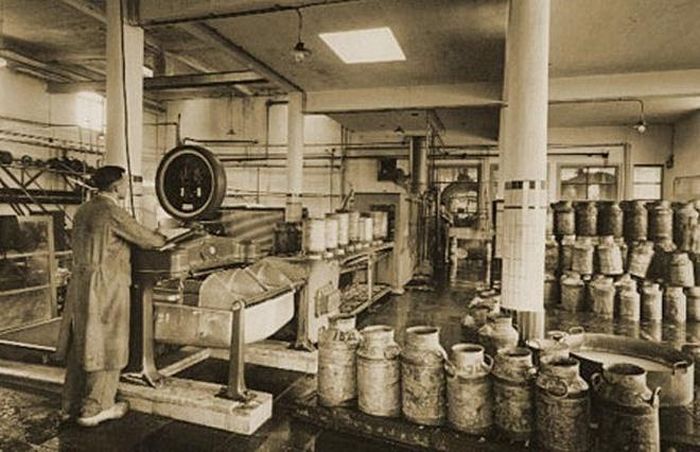 Hình ảnh về các nhà máy đầu tiên sản xuất sữa chua và sản phẩm được bán đại trà.