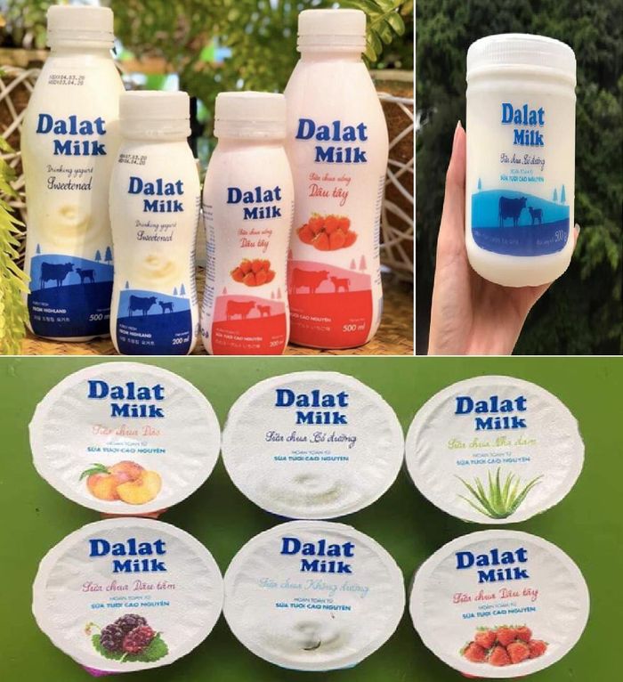 Các sản phẩm của Dalatmilk xứng đáng có trong tủ lạnh của mỗi gia đình.