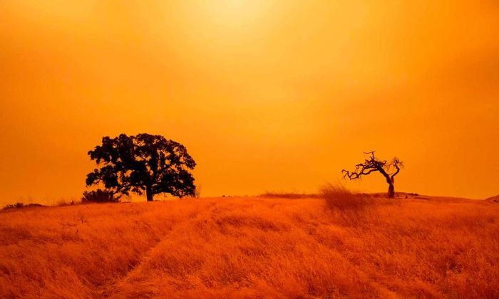  Đến ngày 9/9, 18 khu rừng trên toàn bang California bị phong tỏa để đảm bảo an toàn cho người dân. Giới chức cho biết lực lượng lính cứu hỏa tập trung cứu sống nạn nhân thay vì nỗ lực dập tắt các đám cháy. Ảnh: AFP. 