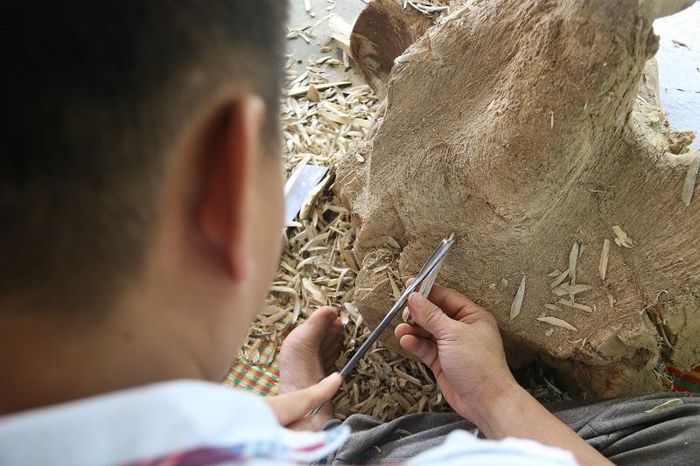 Ông Trần Quốc Khánh - Chủ tịch UBND xã Phúc Trạch cho biết: ''Hiện tại tất cả các hộ dân trong xã đều trồng cây gió trầm (trên 1.700 hộ), với diện tích trên 300ha. Cây dó trầm là một trong những loại cây kinh tế chính của địa phương, nhờ có loại cây này mà tỷ lệ hộ nghèo trên địa bàn xã giảm đi rõ rệt''.