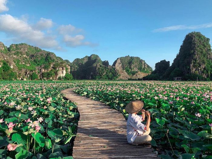 Nhiều bạn trẻ thích thú tới check-in.