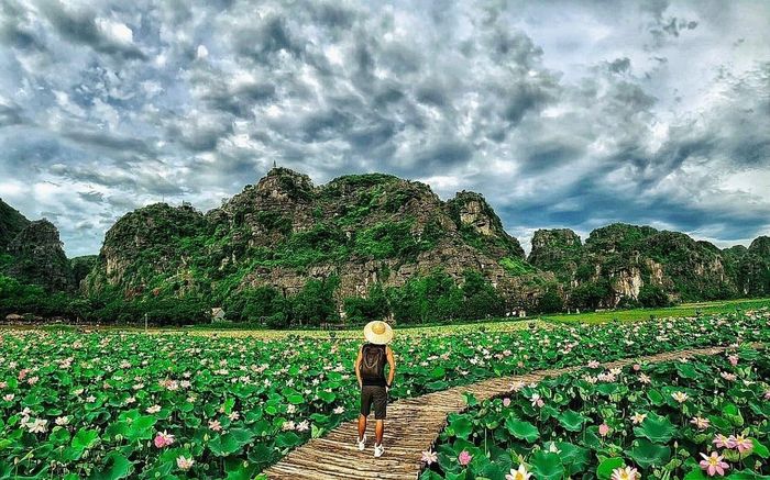 Nhiều người vốn ngại mùa hè nắng nóng hay nhỡ mất mùa sen vào giữa hè cũng tìm tới nơi đây như một cách để thỏa mãn tình yêu với loài hoa được mệnh danh là quốc hoa của người Việt này.