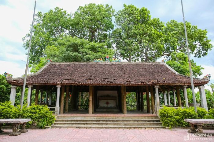 Đình Trung thuộc phường Hưng Dũng (thành phố Vinh) cũng là nơi diễn ra các hoạt động đấu tranh cách mạng của nhân dân ta trong phong trào Xô viết Nghệ Tĩnh. Ngày 27/4/1930, Chi bộ Đảng đã vận động hơn 1.200 người dân làng Yên tập trung tại đây để tham gia biểu tình ngày 1/5/1930 nhằm chống sưu cao thuế nặng. Ảnh: Đức Anh