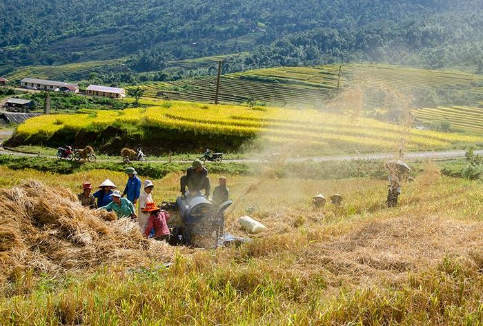 Cơ giới hóa trên ruộng bậc thang Dền Thàng (Bát Xát).