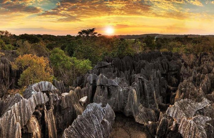  6. Vườn quốc gia Tsingy de Bemaraha, Madagascar: Mê cung núi đá độc đáo này vẫn chưa được nhiều người biết tới ngoại trừ một vài đường mòn, cây cầu, hay những điểm tham quan xung quanh. Còn lại, phần lớn công viên quốc gia ở Madagascar chưa hề có dấu chân người.