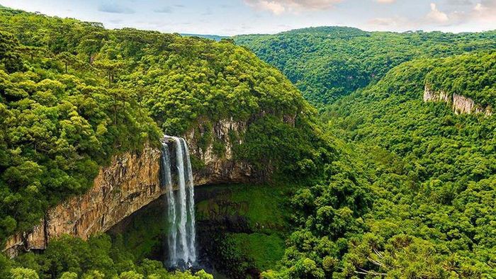  3. Amazon, Brazil: Amazon là rừng nhiệt đới lớn nhất thế giới, rộng 5,5 triệu km2, trải dài qua nhiều nước như Brazil, Bolivia, Peru, Ecuador, Colombia, Venezuela, Guyana... Trong khi một số khu vực tại đây thu hút số đông du khách hàng năm, nhiều vùng hầu như chưa được khám phá bởi thế giới hiện đại.