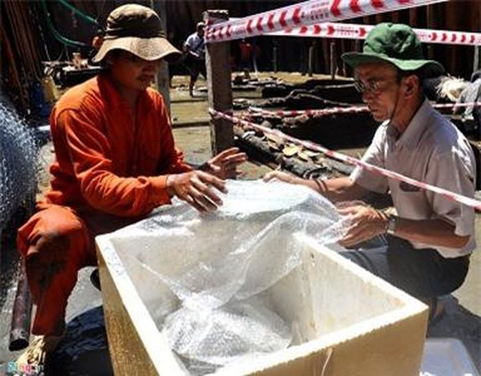 Kết quả đợt khai quật, các chuyên gia thu được hơn 5.000 cổ vật, trong đó có 42 độc bản quý hiếm. 5 năm trước, một nhà khoa học nước ngoài đã vẽ ra một bản đồ cho những con đường thương mại trên biển, trong đó có mũi tên hướng vào Quảng Ngãi.