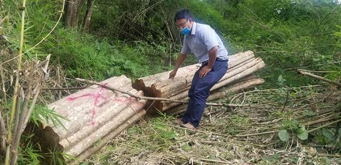Hiện trường 1 vụ phá rừng tại huyện Chư Prông, Gia Lai.