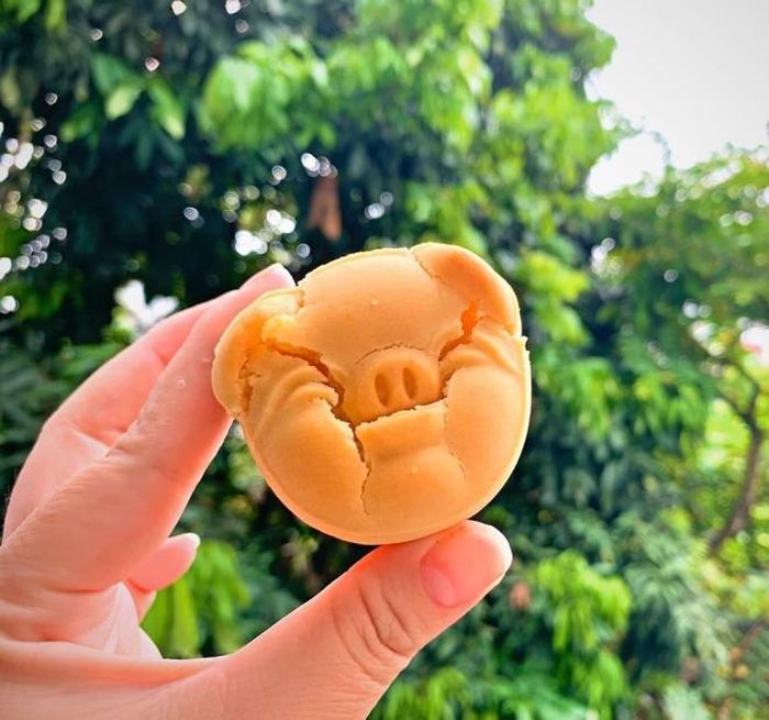 Nụ cười của chú lợn thật sự được gọi là toe toét.