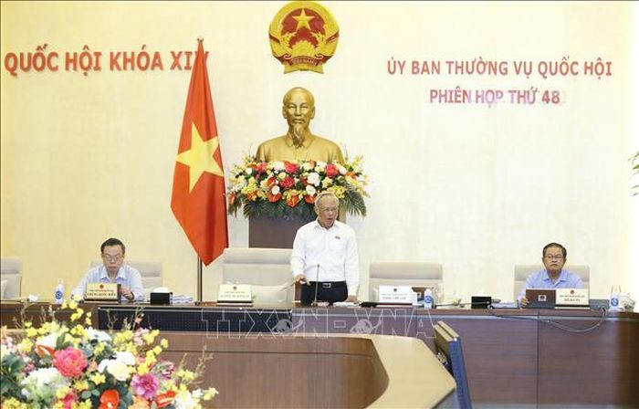  Phó chủ tịch Quốc hội Uông Chu Lưu phát biểu tại phiên họp. Ảnh: TTXVN. 