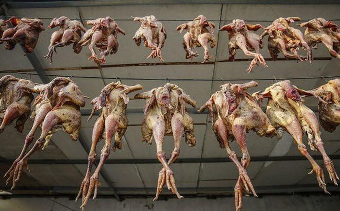 Cái tên nghe có vẻ nhẹ nhàng nhưng thực chất cách chế biến gà hong gió lại gần như một cách tra tấn đến đáng sợ. Nguyên liệu để làm ra món gà hong gió gồm gà sống, gia vị và các loại thảo mộc.