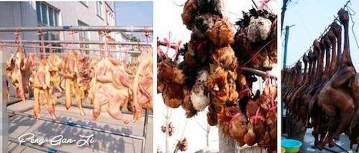 Sự đau đớn tột cùng sẽ gặm nhấm con gà cho tới khi chúng từ từ chết đi, thân xác khô quắt lại và chờ lên bàn ăn phục vụ thượng khách giàu có.