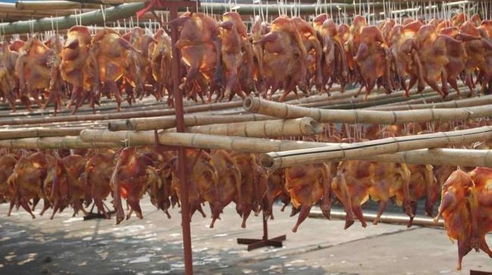 Chỉ những ai vững tâm lắm mới có thể bình tĩnh trước những tiếng rên rỉ bi thương và cảnh máu me rùng rợn. Nguồn ảnh: China news.