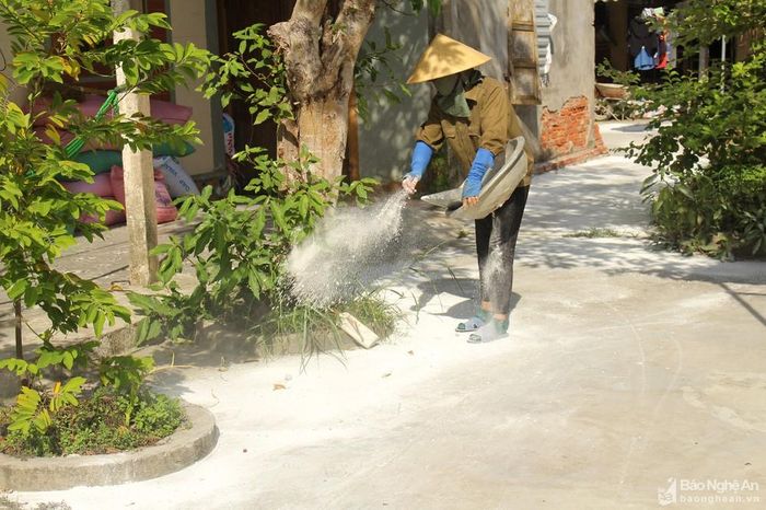 Người dân xã Nghi Thuận (Nghi Lộc) rắc vôi khử trùng, tiêu độc lối ra, vào. Ảnh: Phú Hương