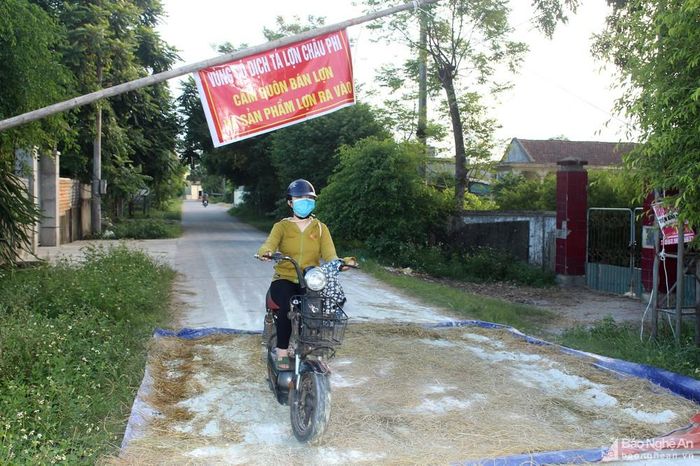 Chốt kiểm dịch tại vùng dịch Hưng Nghĩa (Hưng Nguyên). Ảnh: Phú Hương
