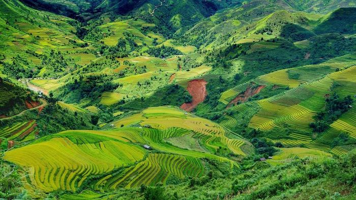  Bạn cũng có thể lựa chọn ở qua đêm để ngắm ruộng bậc thang mờ ảo trong sương vào sáng sớm. Tuy nhiên, Xím Vàng chưa phát triển các dịch vụ lưu trú, bạn cần di chuyển đến xã Tà Xùa, nơi có khá nhiều khách sạn, nhà nghỉ và homestay. 