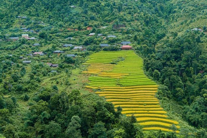  Khung cảnh núi non hùng vĩ cùng sắc vàng lúa chín trải dài trên các sườn đồi mang đến vẻ đẹp tráng lệ, cuốn hút đôi chân của những du khách mê trải nghiệm và các nhiếp ảnh gia tìm về. Bạn có thể chiêm ngưỡng ruộng bậc thang tuyệt đẹp tại các bản như Háng Gò Bua, Cúa Mang, Sồng Chống. 