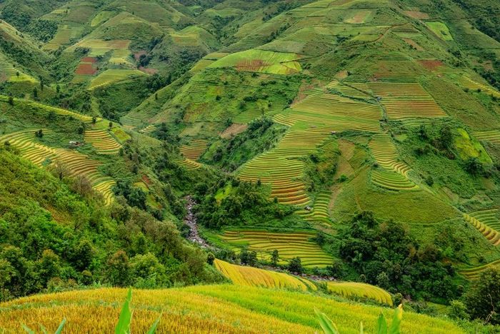  Dân cư ở đây chủ yếu là người đồng bào dân tộc Mông. Đối với bà con các tỉnh vùng cao nói chung và người Mông ở Xím Vàng nói riêng, ruộng bậc thang không chỉ là nguồn cung cấp lương thực chính, mà còn có vai trò quan trọng trong đời sống văn hóa, tinh thần từ bao đời nay. 