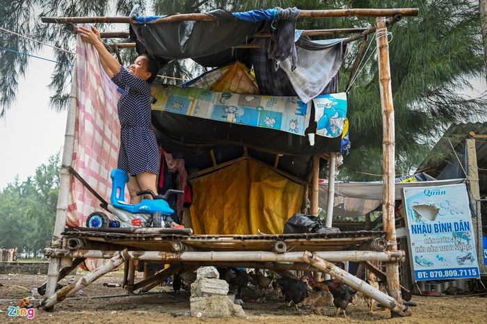Chị Lê Thị Lành (36 tuổi) phải trông đàn lợn, gà, vịt mà gia đình đang nuôi nên chưa thể sơ tán. Ông Đặng Tiến Tùy, Chủ tịch xã Phú Thuận (huyện Phú Vang, Thừa Thiên - Huế) cho biết: "Chính quyền sẽ cho di dời 3 hộ dân khu vực ven biển thôn Tân An đến trú bão ở những nơi an toàn ngay trong tối nay. Chính quyền xã dự kiến di dời 64 hộ với 298 khẩu ở các khu vực xung yếu ven biển đến nơi an toàn".