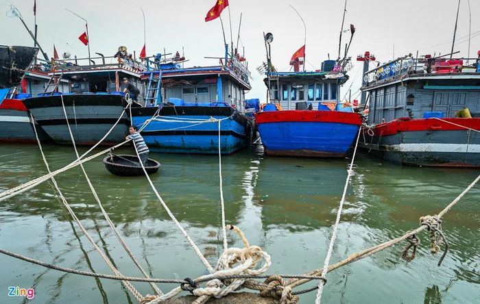  Ngư dân kiểm tra, gia cố việc neo đậu bên trong âu thuyền xã Phú Thuận. 
