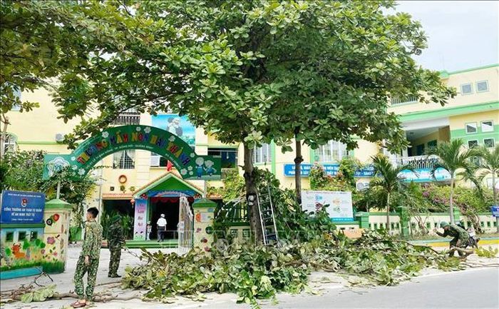 Lực lượng Bộ đội Biên phòng Quảng Bình hỗ trợ cán bộ, giáo viên trường học trên địa bàn chặt tỉa cành cây xanh, chằng chống trường lớp trước khi bão vào.