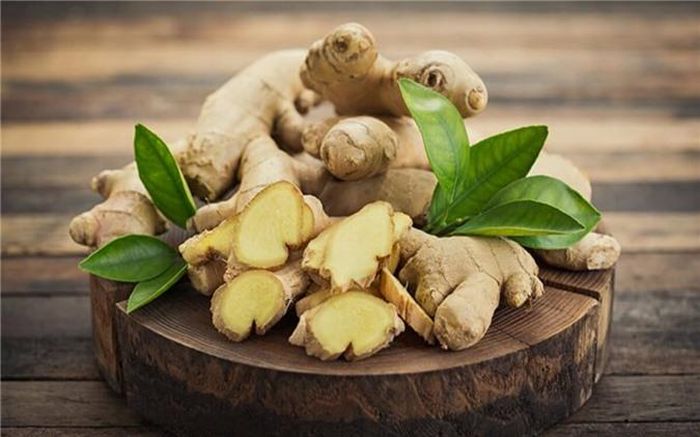 Gừng có tác dụng hỗ trợ quá trình tiêu hóa và hấp thụ thức ăn, giúp loại bỏ chất thải của cơ thể một cách hiệu quả.