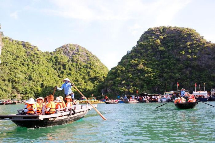 Ngoài thời gian đi các đảo đá, hang động, thăm làng chài; du khách được tham gia các hoạt động trải nghiệm khác, như: bơi lội, chèo thuyền kayak, câu mực, tập dưỡng sinh, học nấu ăn, ngắm hoàng hôn hay bình minh trên boong tàu... Nghỉ đêm trên vịnh Hạ Long là một trải nghiệm không tốn thời gian, nhưng thực sự hữu ích với tâm trạng “đưa nhau đi trốn” - là hoàn toàn nghỉ ngơi, thư giãn bên người thân, bạn bè