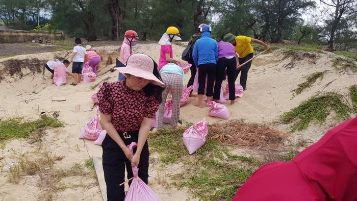 Giáo viên Trường mầm non Quang Phú (Tp. Đồng Hới - Quảng Bình) lấy cát đè trên mái nhà