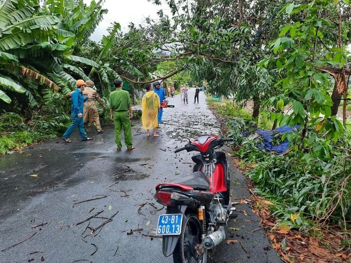 Cây cối ngã đổ ở nhiều phường xã. Công an TP.Đà Nẵng cảnh báo người dân không nên ra đường vào thời điểm bão lũ.