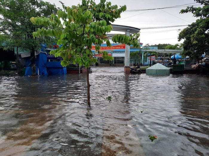 Trước khu vực chợ Hòa An, quận Cẩm Lệ - một vùng rộng lớn đã bị ngập. Nhiều gian hàng không thể bày bán.