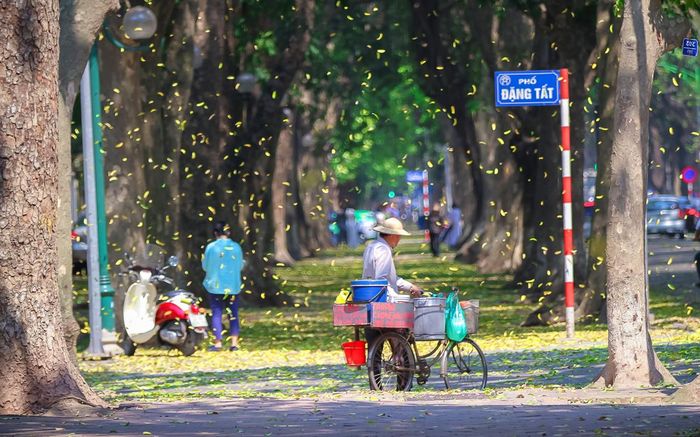 Thu về Hà Nội thay áo mới, sắc lá vàng bay mang đến cái nhìn thật lãng mạn, mơn man khi qua từng con phố