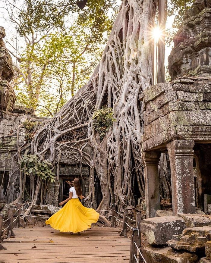 Để được vào tham quan Ta Prohm, du khách cần chi khoảng 37 USD cho vé một ngày. Bạn có thể đến thăm di tích vào bất kỳ lúc nào trong ngày. Tuy nhiên, nhiều người khuyên nên tránh thời điểm nắng nóng hoặc mùa mưa. Ảnh: Shewandersabroad.