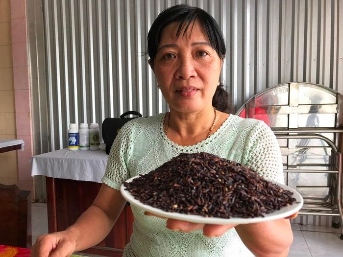 Gạo tím thành phẩm được xuất bán.