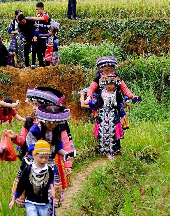 Các gia đình du khách thuê trang phục dân tộc để xuống ruộng. Ảnh: Mạnh Thắng