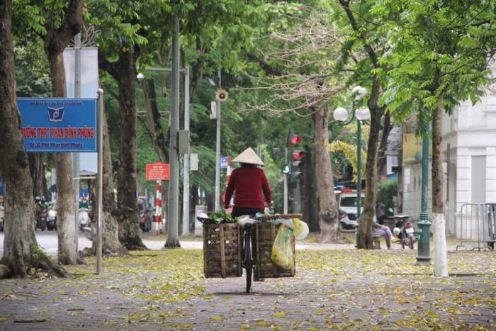 Những gánh hàng rong vẫn miệt mài trên phố.